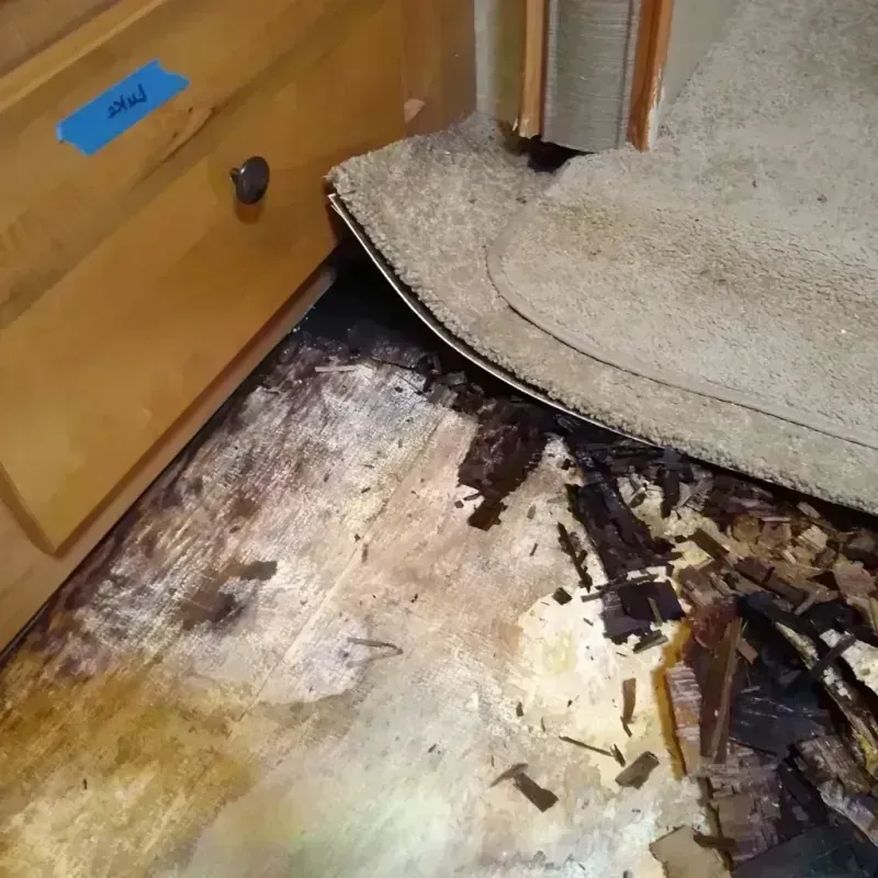 Best Wood Floor Water Damage Service in Telford, PA